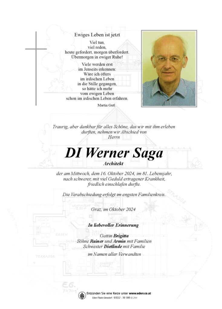 DI Werner Saga